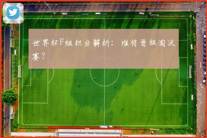 世界杯F组积分解析：谁将晋级淘汰赛？
