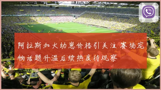 阿拉斯加犬幼崽价格引关注 赛场宠物话题升温后续热度待观察