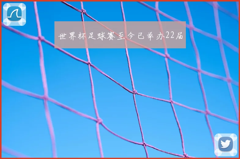 世界杯足球赛至今已举办22届