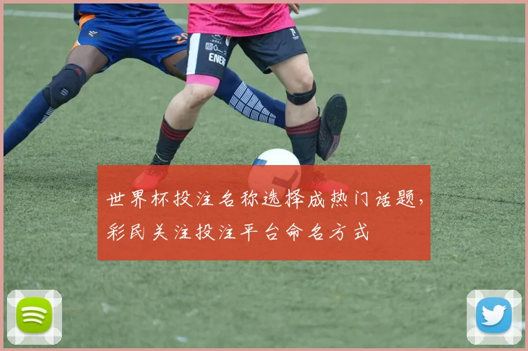 世界杯投注名称选择成热门话题,彩民关注投注平台命名方式