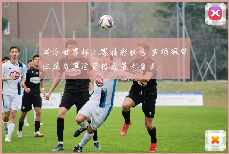 游泳世界杯比赛精彩收官 多项冠军归属与奥运资格成最大看点