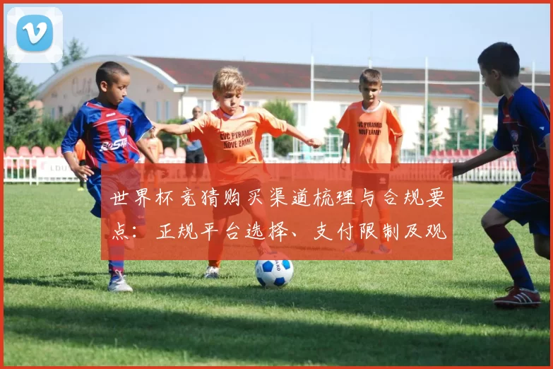 世界杯竞猜购买渠道梳理与合规要点:正规平台选择、支付限制及观赛影响评估