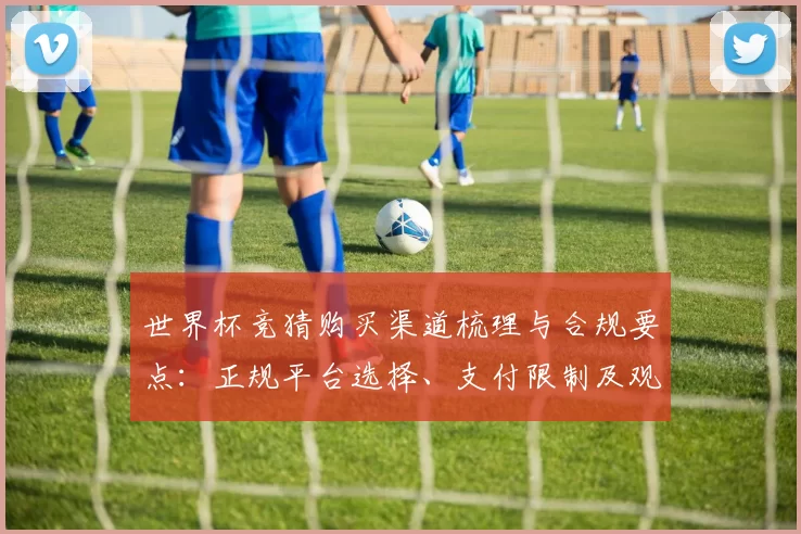 世界杯竞猜购买渠道梳理与合规要点：正规平台选择、支付限制及观赛影响评估